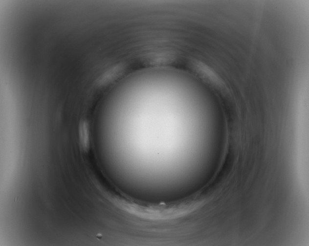 X0000086800022200704201912