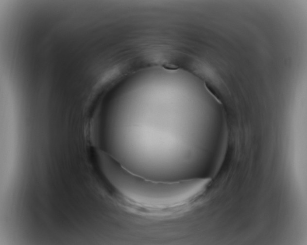 X0000086800023200704201912