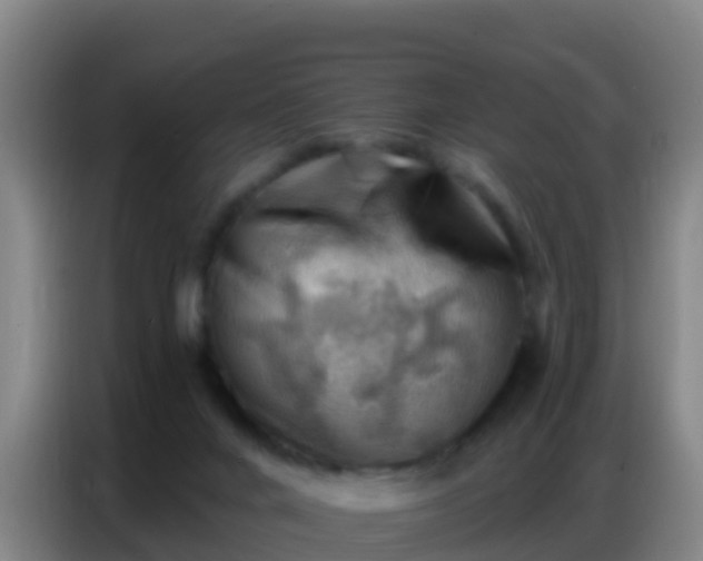X0000086800024200704201912