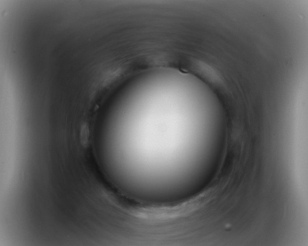 X0000086800025200704201912