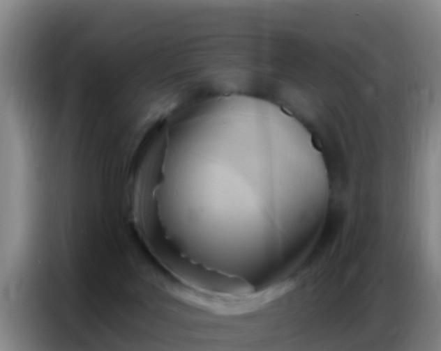 X0000086800027200704201912