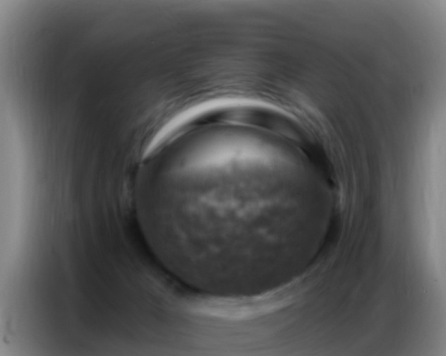X0000086800029200704201912