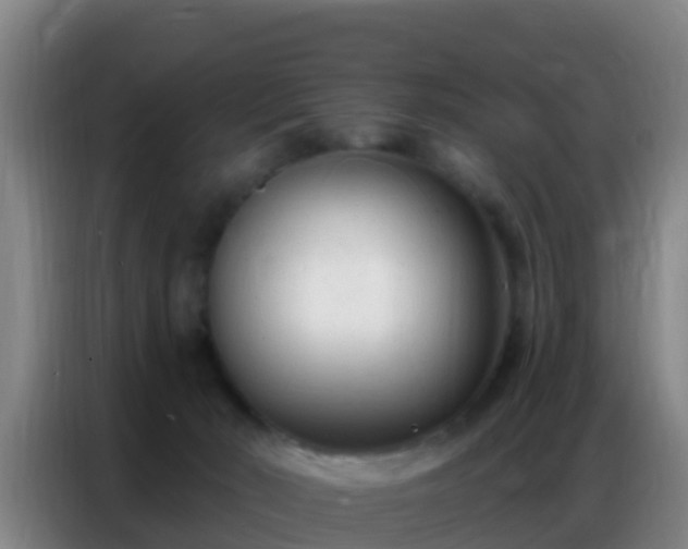 X0000086800030200704201912