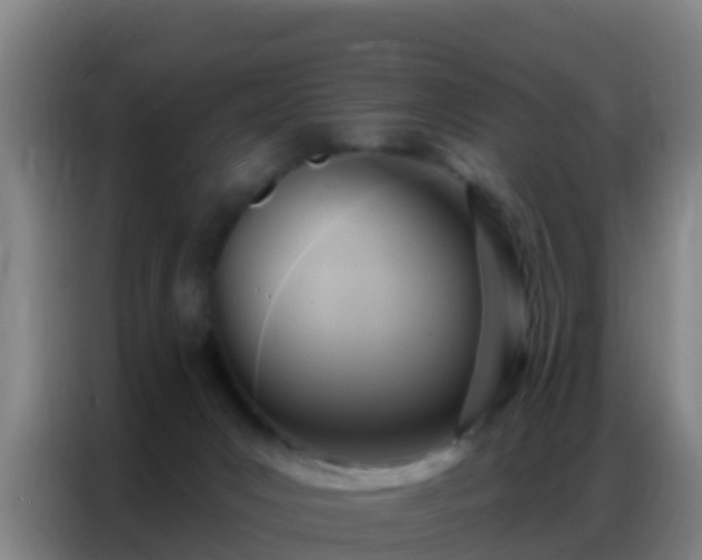 X0000086800031200704201912