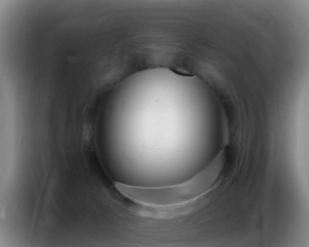 X0000086800033200704201912