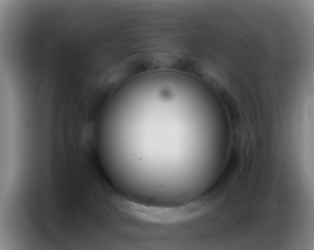 X0000086800034200704201912