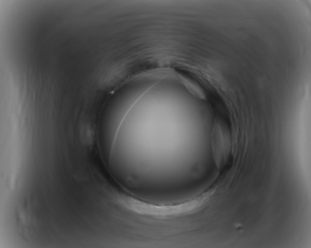 X0000086800039200704201912