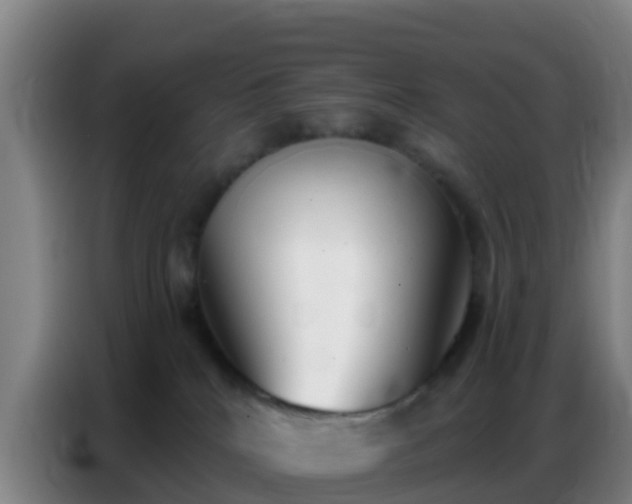 X0000086800040200704201912