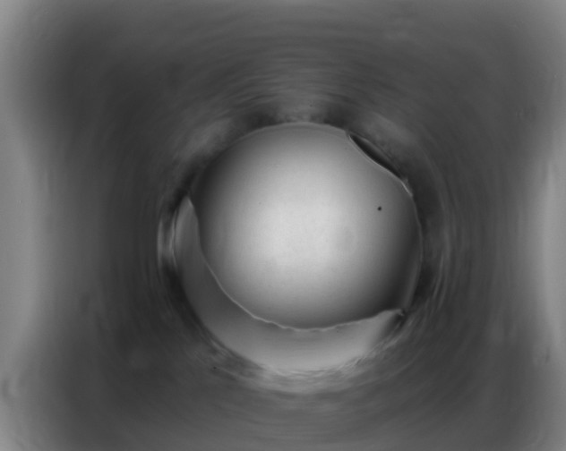 X0000086800041200704201912