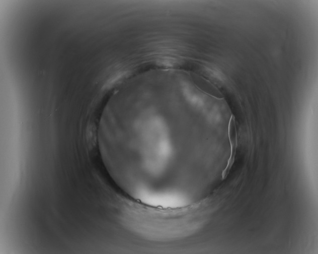 X0000086800043200704201912