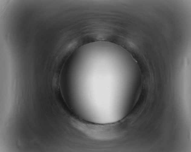 X0000086800044200704201912