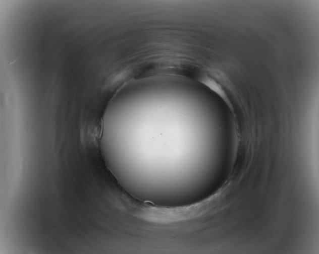 X0000086800045200704201912
