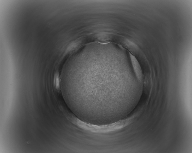 X0000086800046200704201912