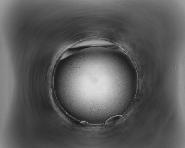 X0000086800049200704201911