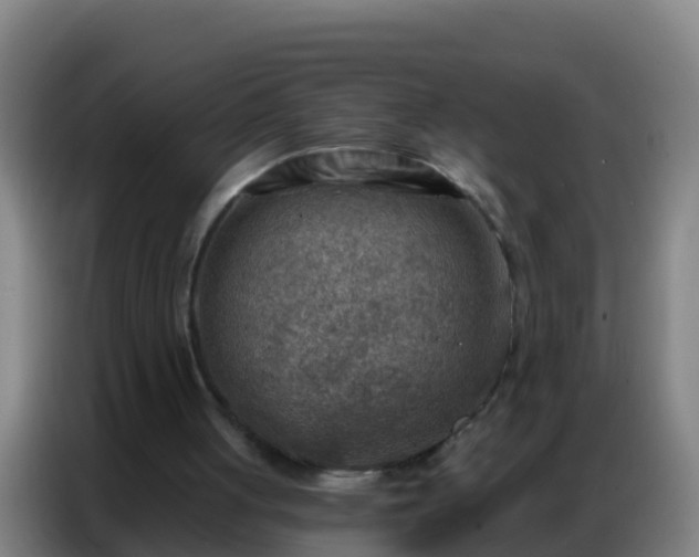 X0000086800051200704201911