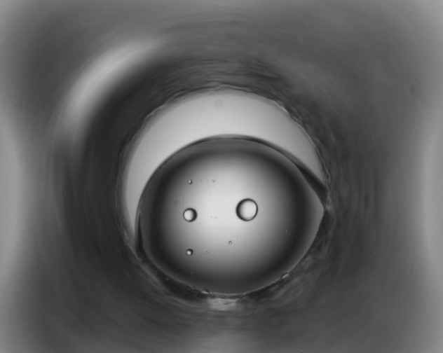 X0000086800052200704201911