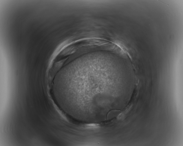 X0000086800053200704201911