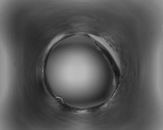 X0000086800054200704201911
