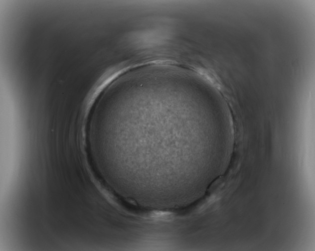 X0000086800055200704201911