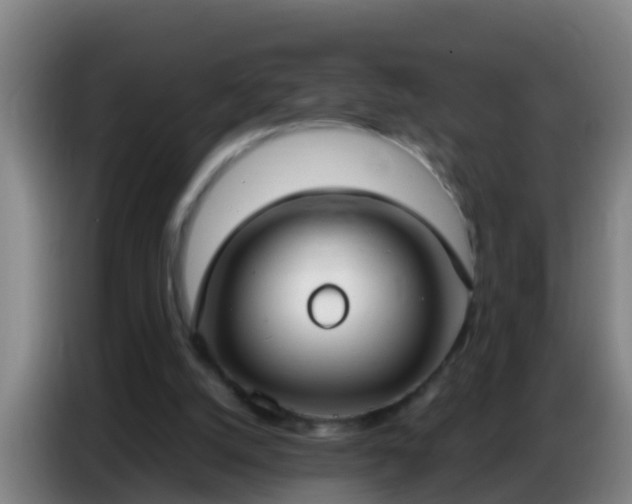 X0000086800056200704201911