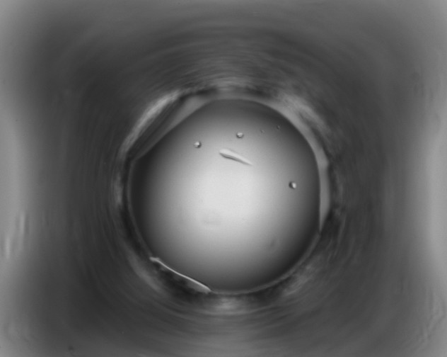 X0000086800060200704201911