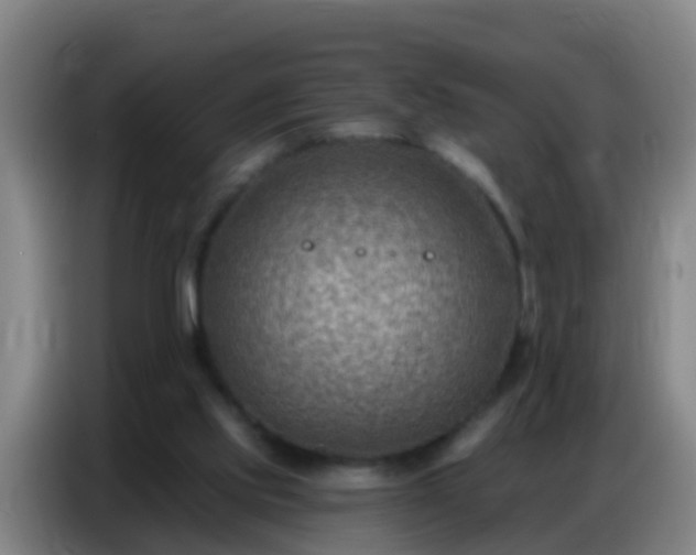 X0000086800061200704201911