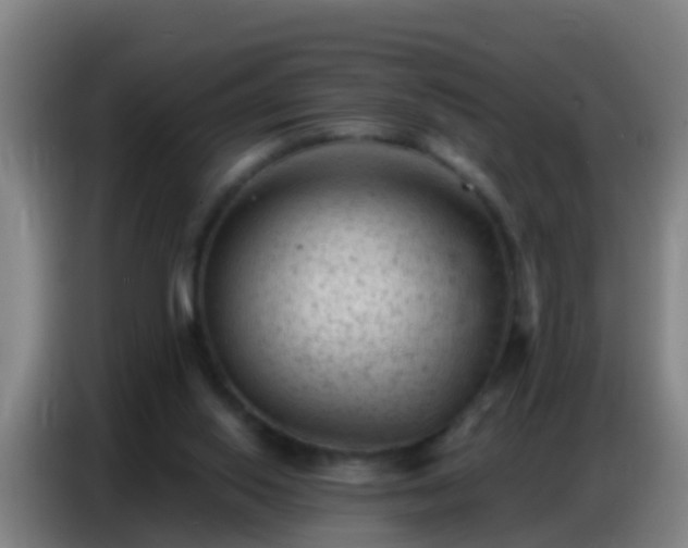 X0000086800062200704201911