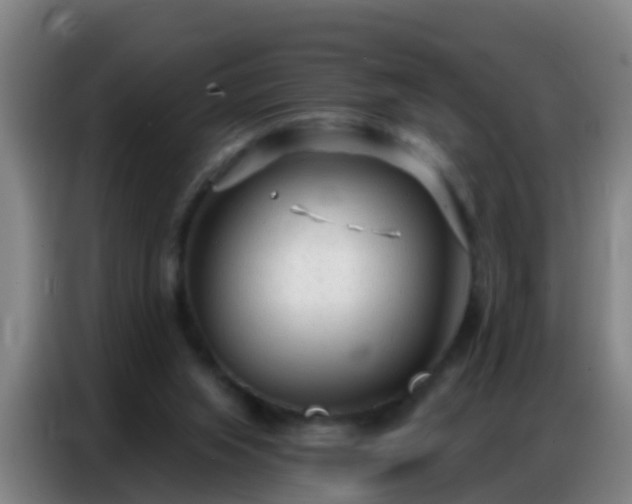 X0000086800063200704201911