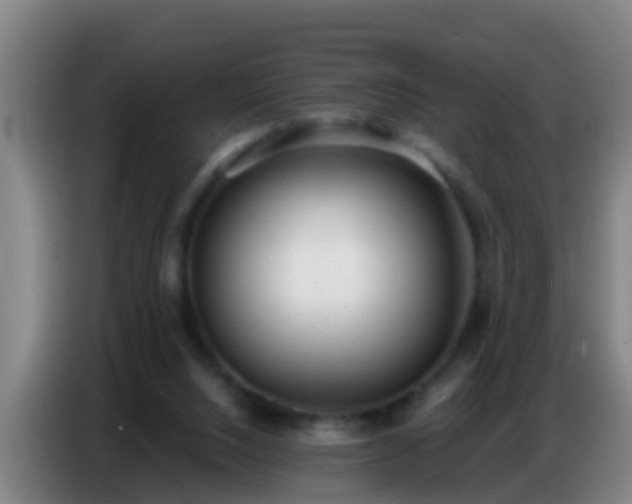 X0000086800064200704201911