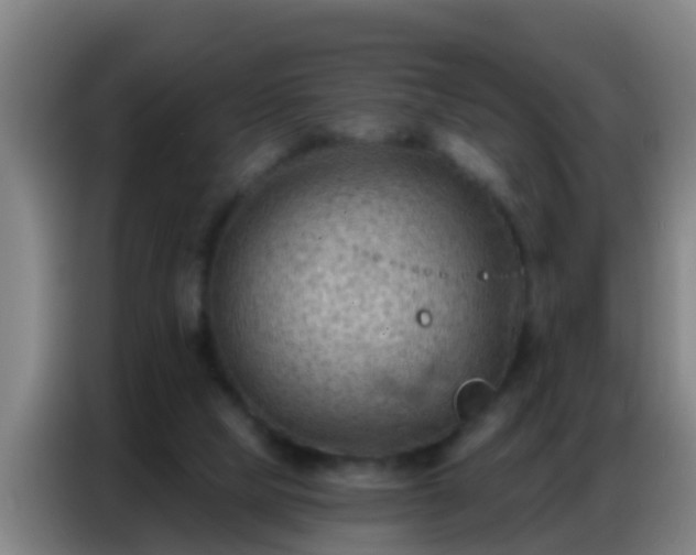 X0000086800065200704201911