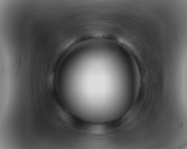 X0000086800066200704201911