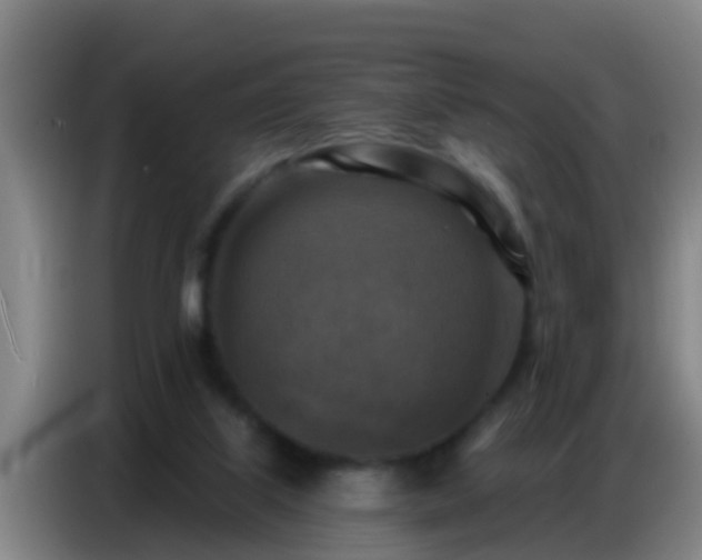 X0000086800067200704201911