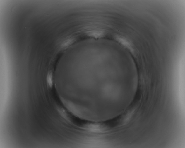 X0000086800069200704201911