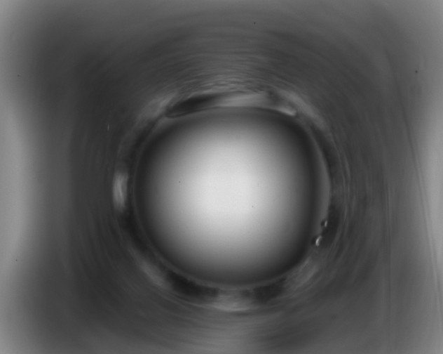 X0000086800070200704201911
