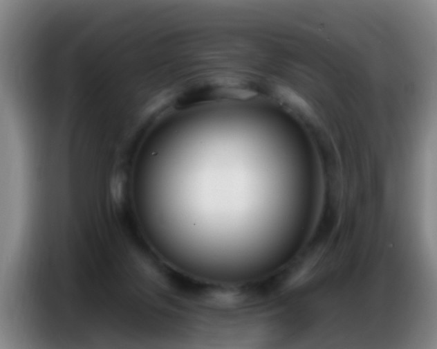 X0000086800071200704201911