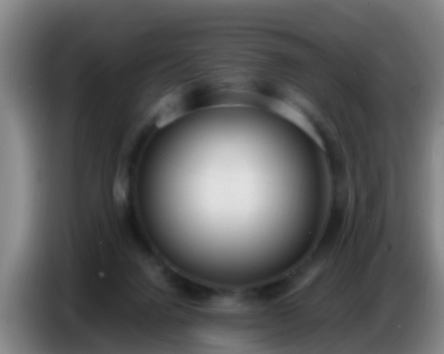 X0000086800072200704201911