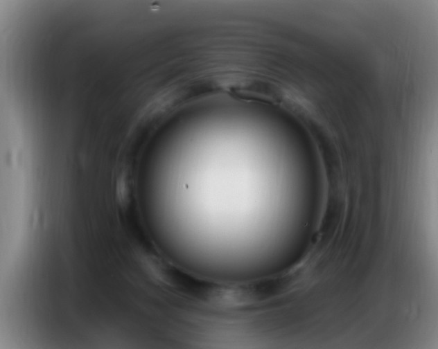 X0000086800074200704201911