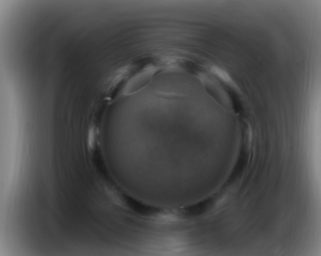 X0000086800076200704201912