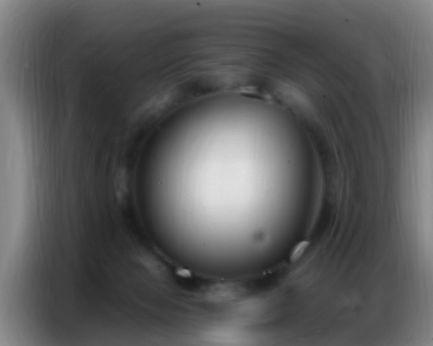 X0000086800077200704201912