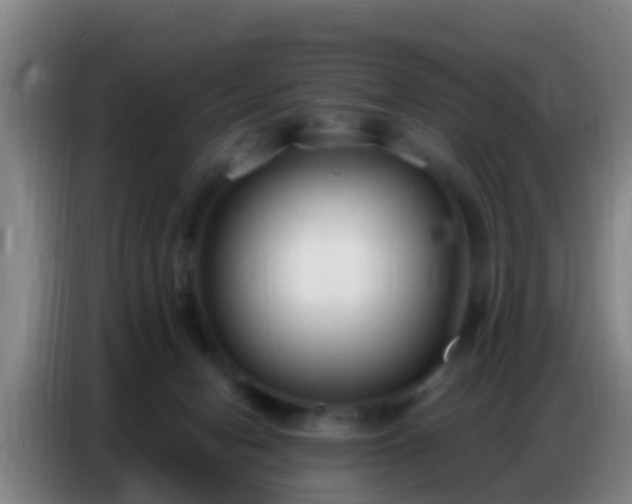 X0000086800078200704201912