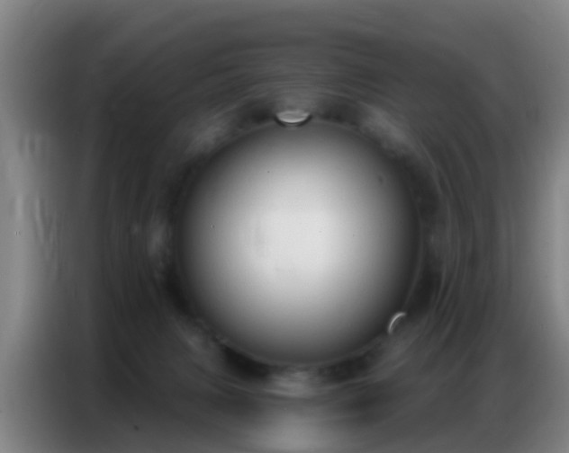 X0000086800079200704201912