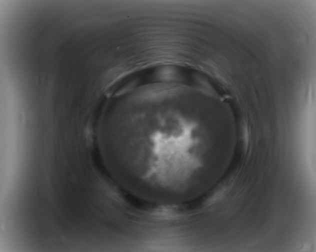 X0000086800080200704201912