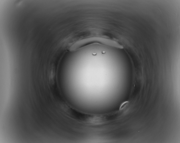 X0000086800082200704201912