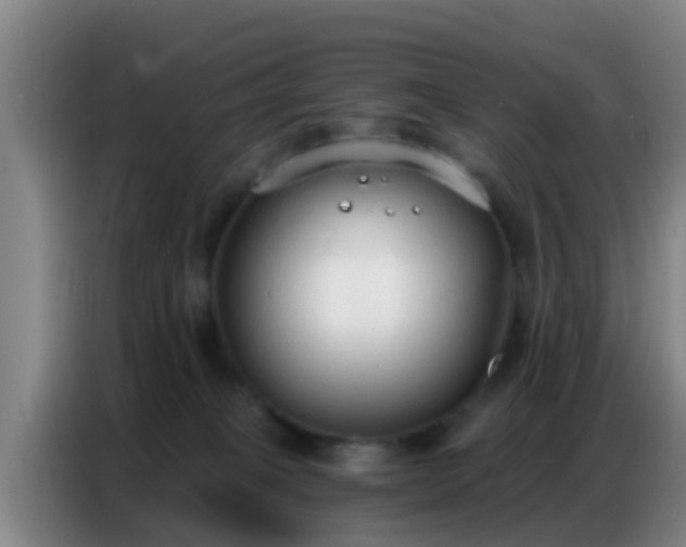 X0000086800085200704201912