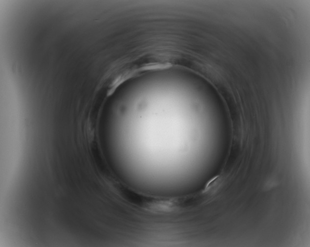 X0000086800086200704201912