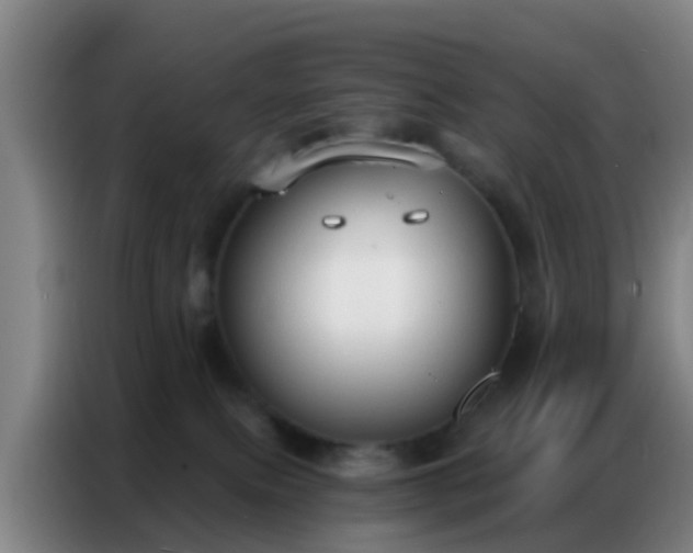 X0000086800087200704201912