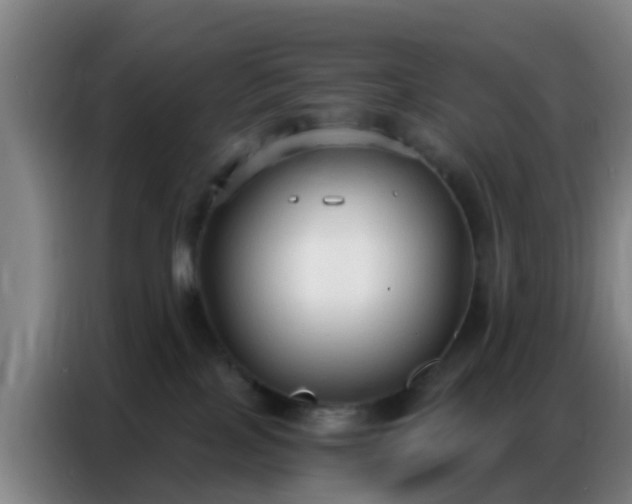 X0000086800089200704201912
