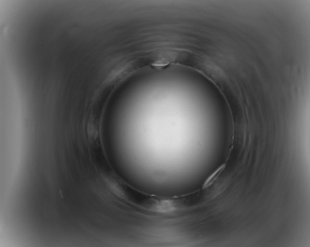 X0000086800091200704201912