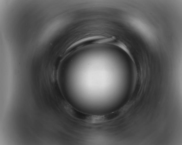 X0000086800093200704201912
