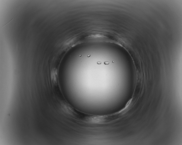 X0000086800094200704201912